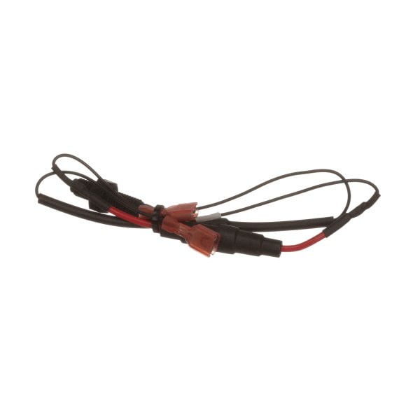Switch, Reed-Fused Assembly